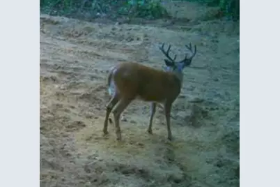 N2325 Elm Street, Wautoma, WI 54982 - Photo 47