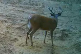 N2325 Elm St, Wautoma, WI 54982 - Photo 47