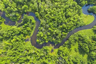 15789 Hickory Ln, Mountain, WI 54149 - Photo 35