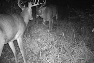 E853 Bestul Rd, Scandinavia, WI 54977 - Photo 17