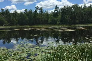 E853 Bestul Rd, Scandinavia, WI 54977 - Photo 25