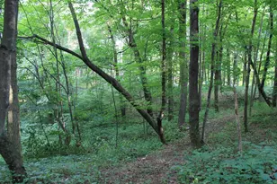 E853 Bestul Rd, Scandinavia, WI 54977 - Photo 63