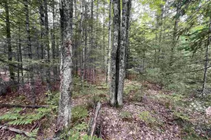 Bruette Rd, Wausaukee, WI 54177 - Photo 1