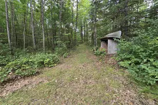 W7297 Amberg Wausaukee Rd, Wausaukee, WI 54177 - Photo 23