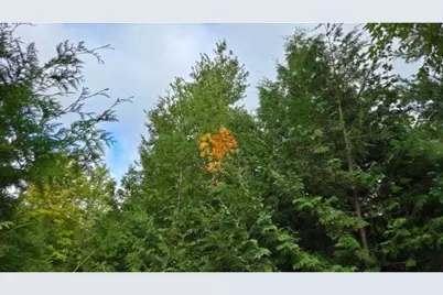 Wildwood Court, Sister Bay, WI 54234 - Photo 5