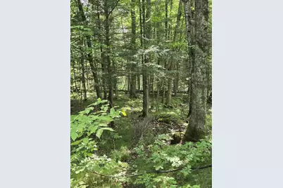 W7793 Bergeson Lane, Amberg, WI 54102 - Photo 7