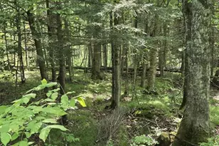 W7793 Bergeson Ln, Amberg, WI 54102 - Photo 7