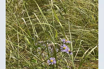 14463 Angel Crest Lane, Lakewood, WI 54138 - Photo 19