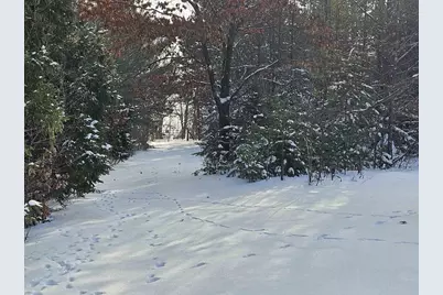 N6235 9th Avenue, Plainfield, WI 54966 - Photo 45