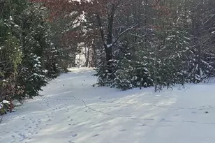 N6235 9th Ave, Plainfield, WI 54966 - Photo 45