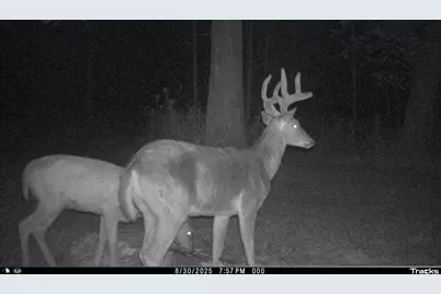 W5611 Gravelly Brook Road, Porterfield, WI 54159 - Photo 37