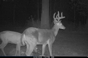 W5611 Gravelly Brook Rd, Porterfield, WI 54159 - Photo 37