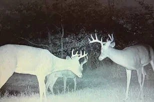 W8970 Cottonville Dr, Wautoma, WI 54982 - Photo 87