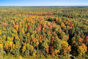 W7456 Coffee Creek Rd, Tomahawk, WI 54487 - Photo 53