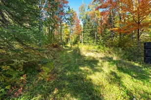W7456 Coffee Creek Rd, Tomahawk, WI 54487 - Photo 5