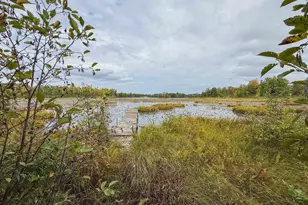 17560 Bass Point Ln, Townsend, WI 54175 - Photo 5