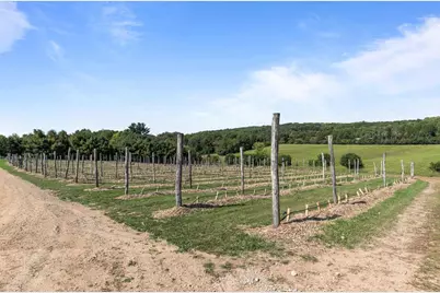 E1256 Johnson Road, Iola, WI 54945 - Photo 51