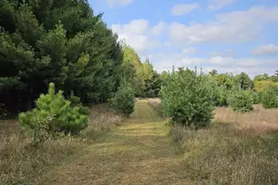 N459 County Rd U, Weyauwega, WI 54983 - Photo 57