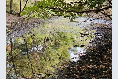 N459 County Road U, Weyauwega, WI 54983 - Photo 43