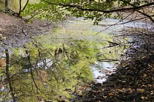 N459 County Rd U, Weyauwega, WI 54983 - Photo 43