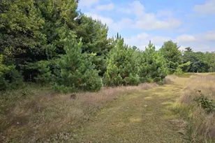 N459 County Rd U, Weyauwega, WI 54983 - Photo 59