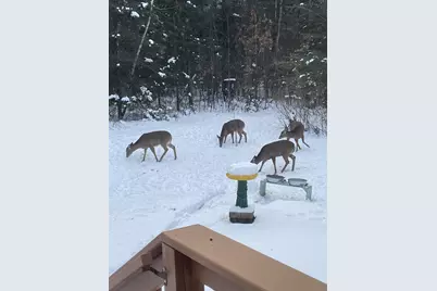 N13403 US Highway 141, Wausaukee, WI 54177 - Photo 41