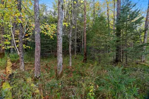 3597 N Cty Rd J, Edgerton, WI 54486 - Photo 63