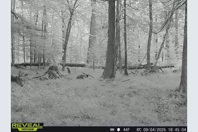 3597 N Cty Rd J, Edgerton, WI 54486 - Photo 83