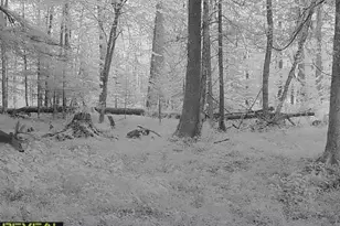 3597 N Cty Rd J, Edgerton, WI 54486 - Photo 83