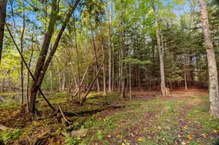 3597 N Cty Rd J, Edgerton, WI 54486 - Photo 55
