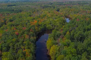 W7102 Buttercup Brook Ln, Porterfield, WI 54159 - Photo 61