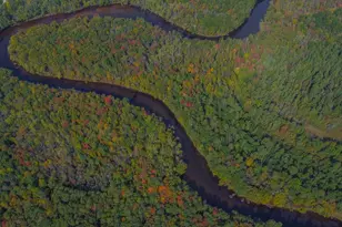 W7102 Buttercup Brook Ln, Porterfield, WI 54159 - Photo 59