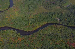 W7102 Buttercup Brook Ln, Porterfield, WI 54159 - Photo 57