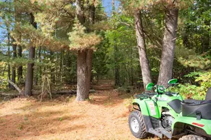 W7102 Buttercup Brook Ln, Porterfield, WI 54159 - Photo 35