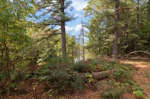 W7102 Buttercup Brook Ln, Porterfield, WI 54159 - Photo 37