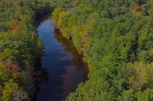 W7102 Buttercup Brook Ln, Porterfield, WI 54159 - Photo 69