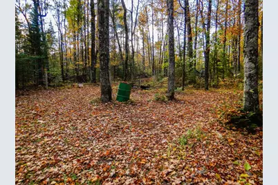 N16656 Dexter Drive, Pembine, WI 54156 - Photo 19