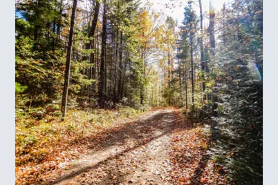 N16656 Dexter Drive, Pembine, WI 54156 - Photo 3