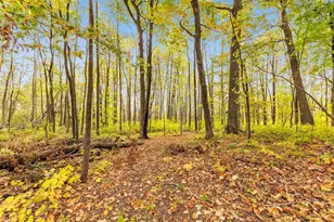 W2872 Cindy Ct, Seymour, WI 54165 - Photo 33