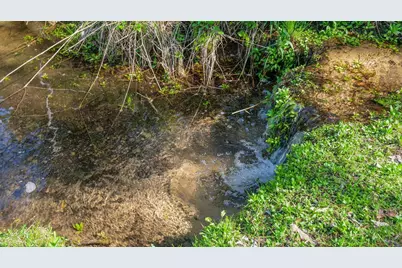 E3192 Apple Tree Lane, Waupaca, WI 54981 - Photo 49