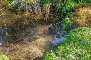 E3192 Apple Tree Ln, Waupaca, WI 54981 - Photo 49