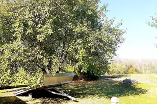 N3992 Shamrock Cir, Appleton, WI 54913 - Photo 49