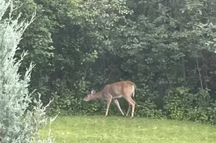 1940 Renaissance Ct, Green Bay, WI 54313 - Photo 49