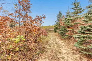 4006 Elkins Rd, Amherst, WI 54406 - Photo 45