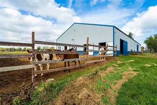 9037 County Rd D, Winneconne, WI 54986 - Photo 61