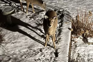 W5735 County Road E, Shawano, WI 54166 - Photo 79