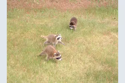 W5735 County Road E, Shawano, WI 54166 - Photo 77