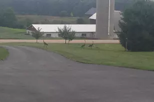 W5735 County Road E, Shawano, WI 54166 - Photo 81