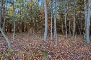 N9598 Cottage Ln, Wausaukee, WI 54177 - Photo 39