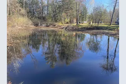 N9732 Wasko Lane, Wausaukee, WI 54177 - Photo 3